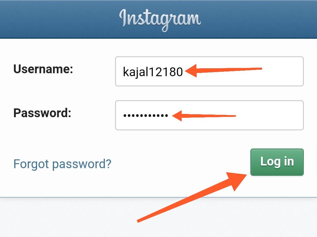 Enter Fake Instagram Username and Password
