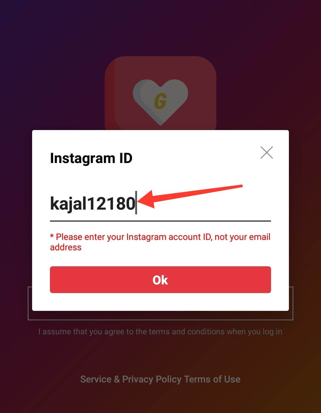 Enter Fake Instagram Username