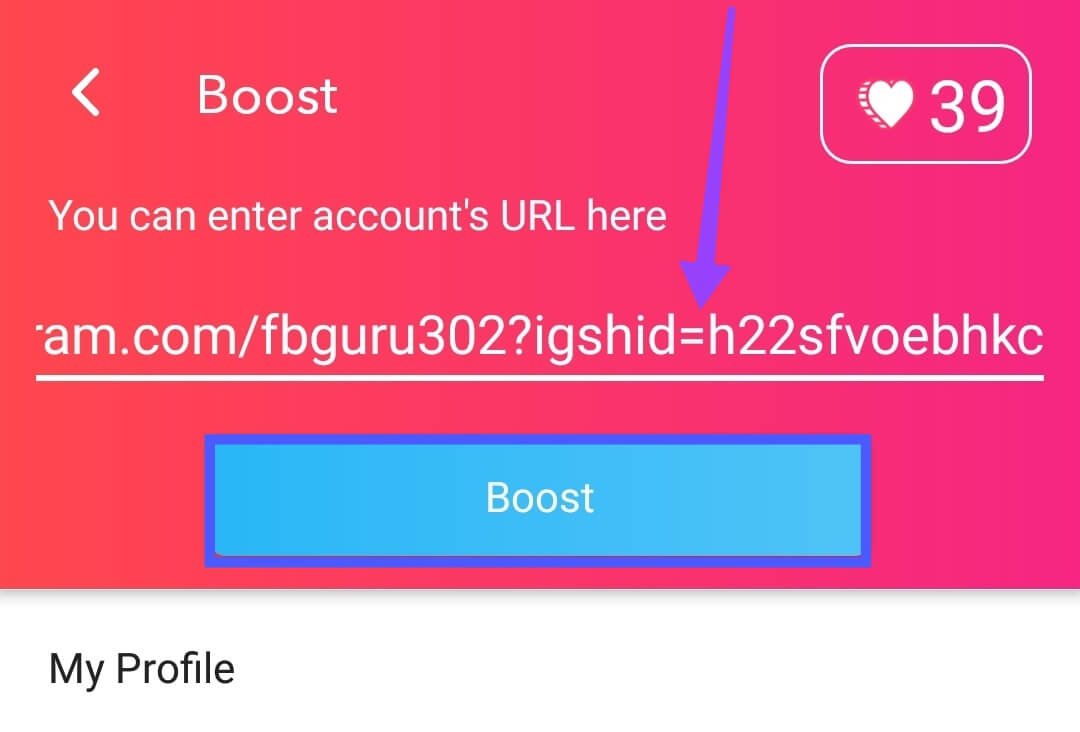 Enter Instagram Profile URL