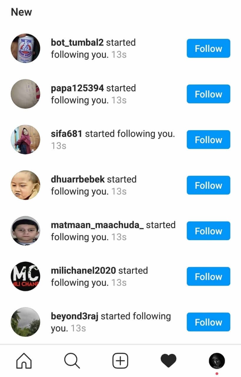 Real Instagram Followers